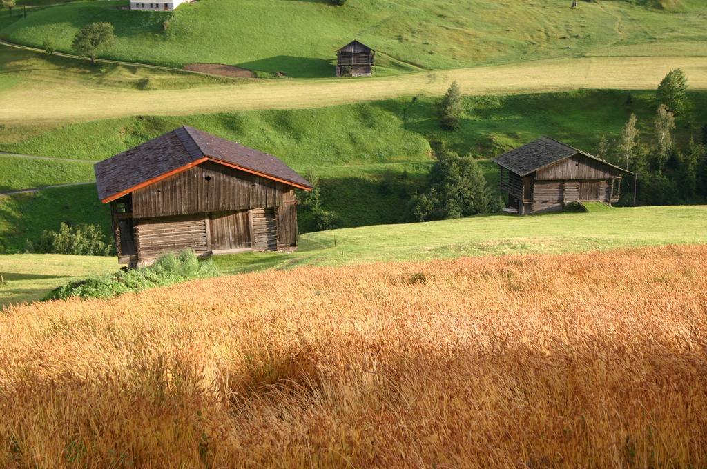Bauernhof Im Wiesengrund Maria Luggau Exterior foto